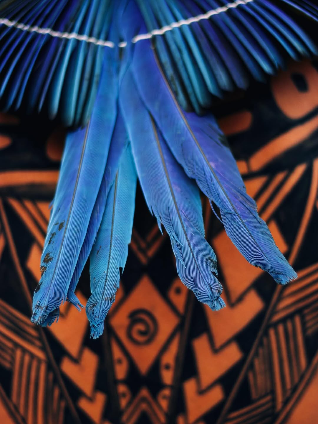 Grafismo indígena feito na manifestação contra o decreto que iria privatizar rios amazônicos. Foto: Gabriel Lobato | @ogabrielobato