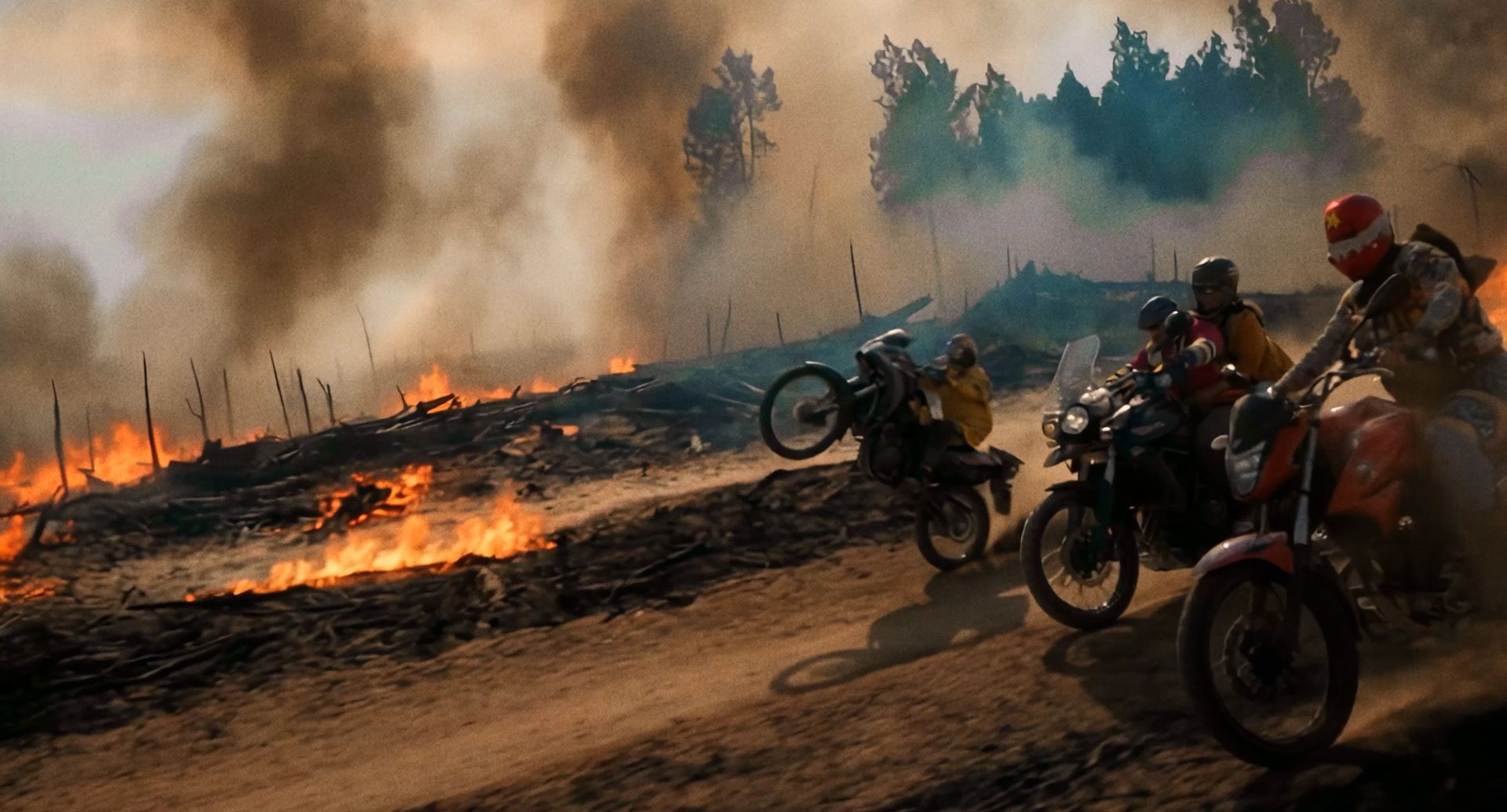 foto divulgação Vitória Régia